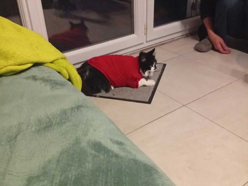 دردشة thibault0801 الجنسية دون اتصال