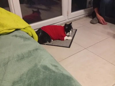 thibault0801 profile