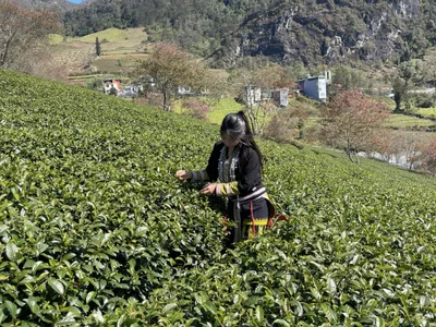 Mayly_lucky2 profile