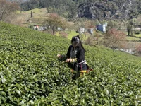 Chat XXX ao vivo de Mayly_lucky2