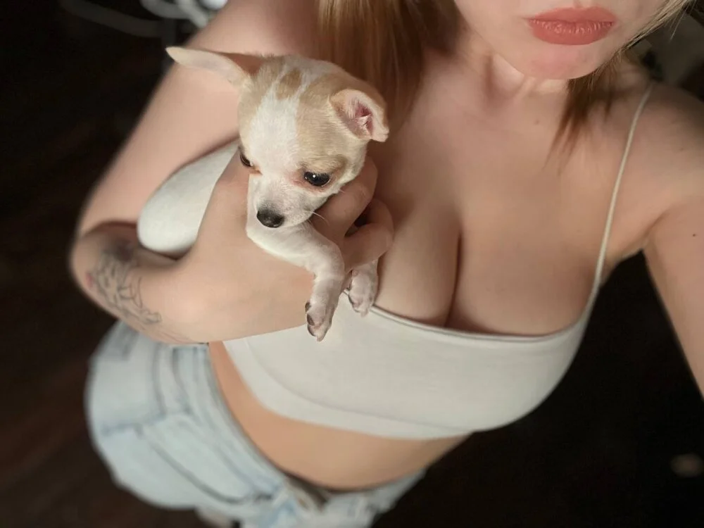 KelsiVanandel's Offline XXX Chat