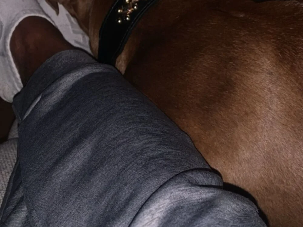 Chat XXX offline de Kay_son