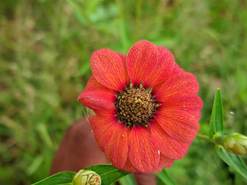 Офлайн-чат XXX 2mrslong