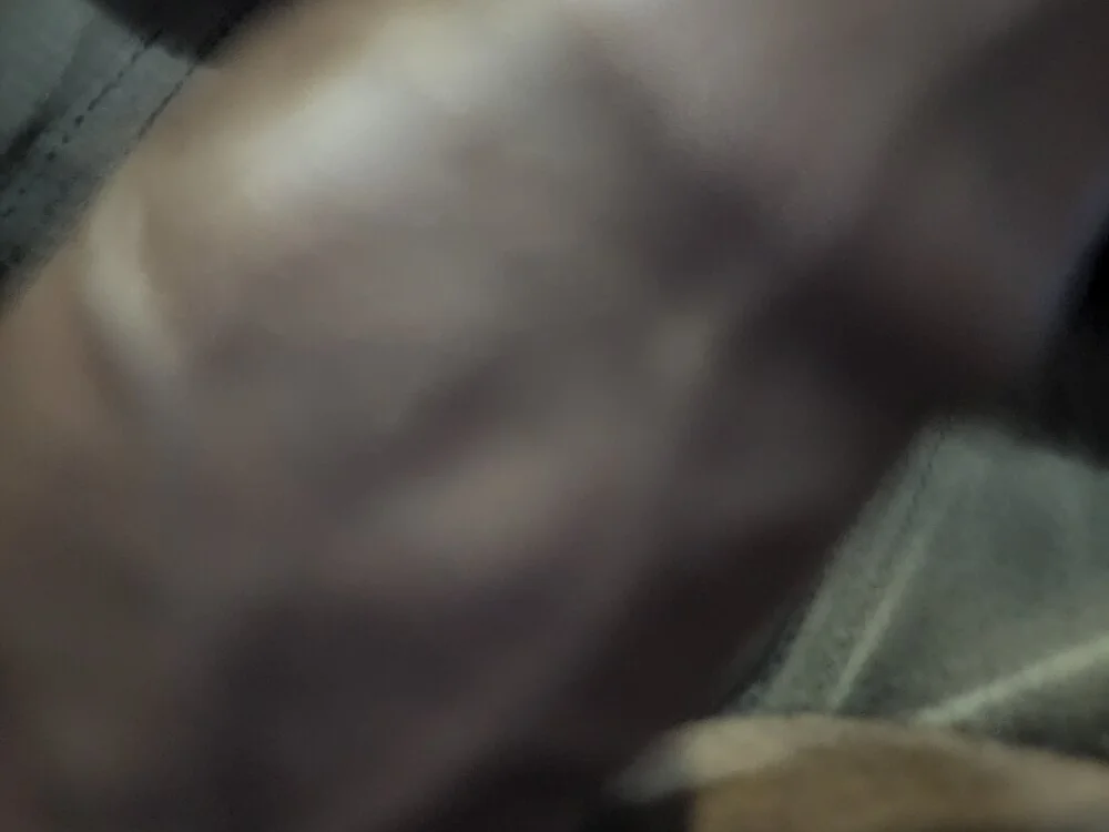 Stud_555 Chat XXX offline