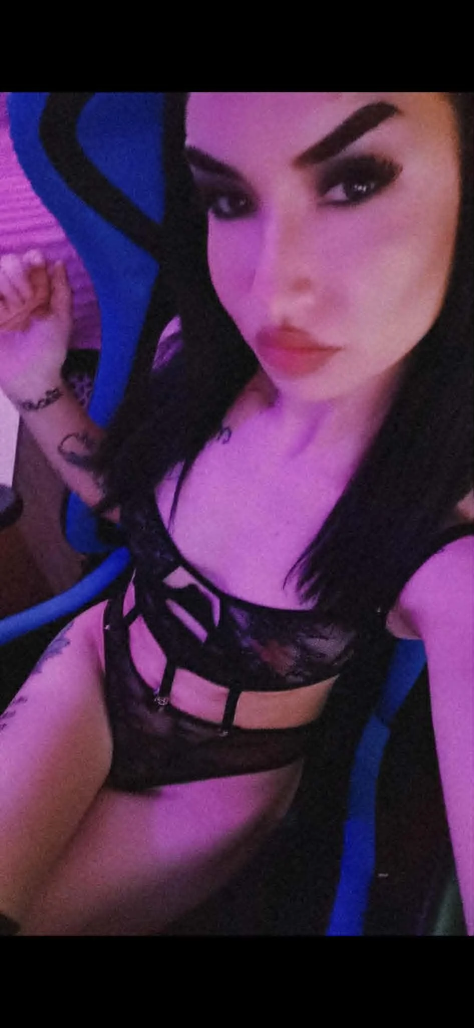 BunnyBliss2 cover photo