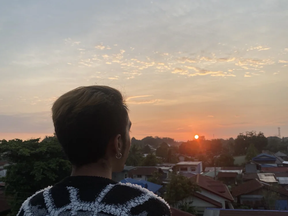 crocodale offline XXX-chat