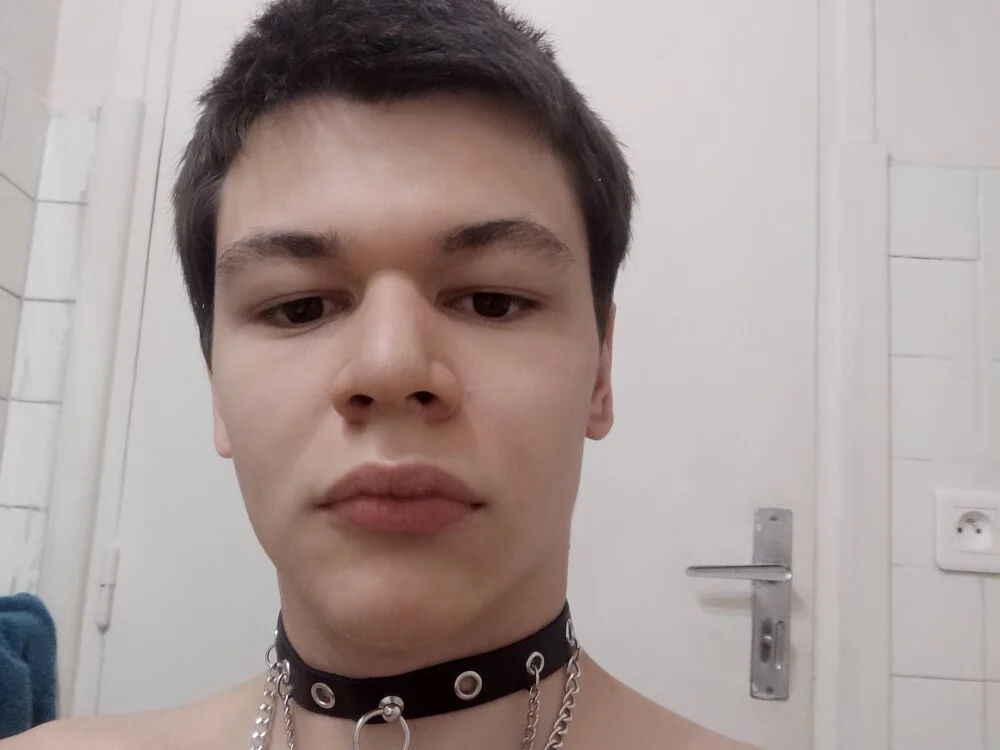 LaitueBottom Chat XXX offline