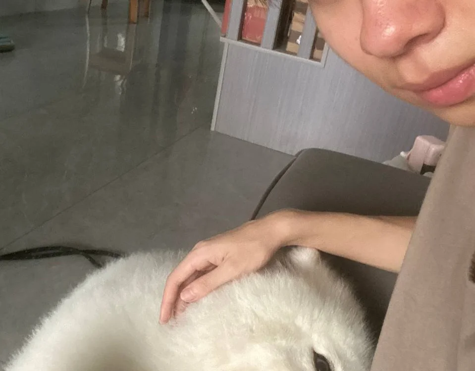 No_1MiaoMiao-Kkn Offline XXX chat