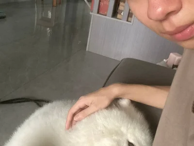 No_1MiaoMiao-Kk Offline XXX-Chat