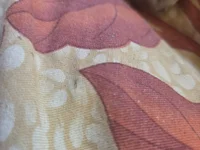 bigbog9323's webcam live show