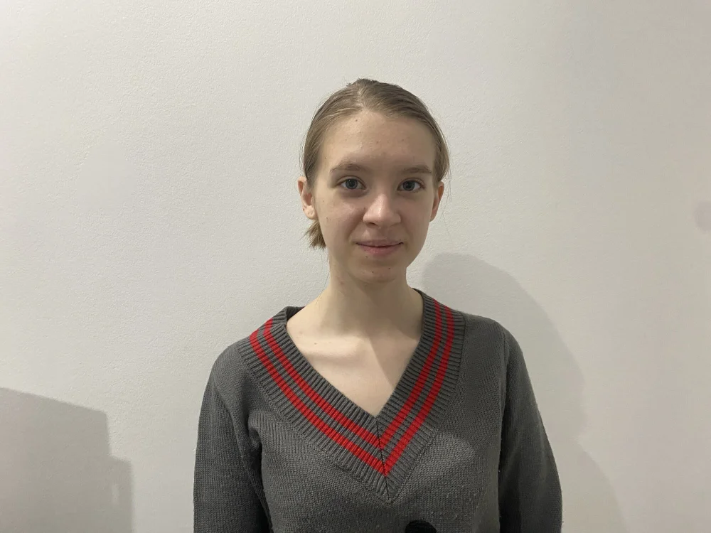 VestaRonan offline chatrum