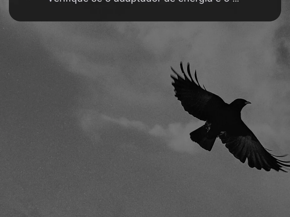 Chat XXX offline de negoputao