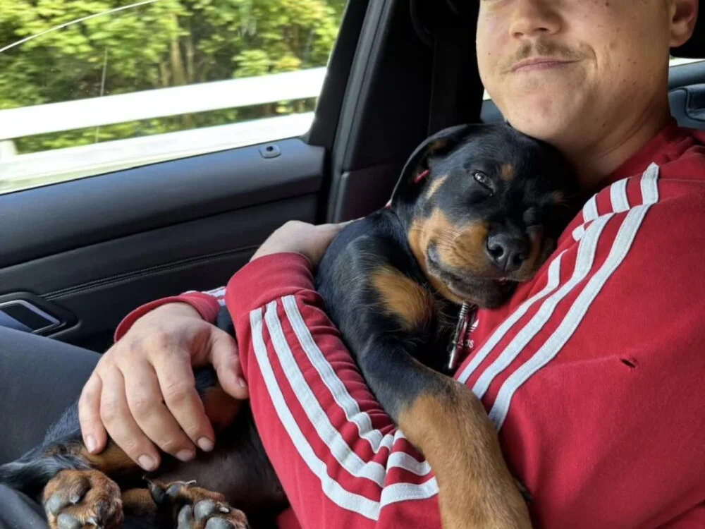 Chat +18 off-line de Tommy131212