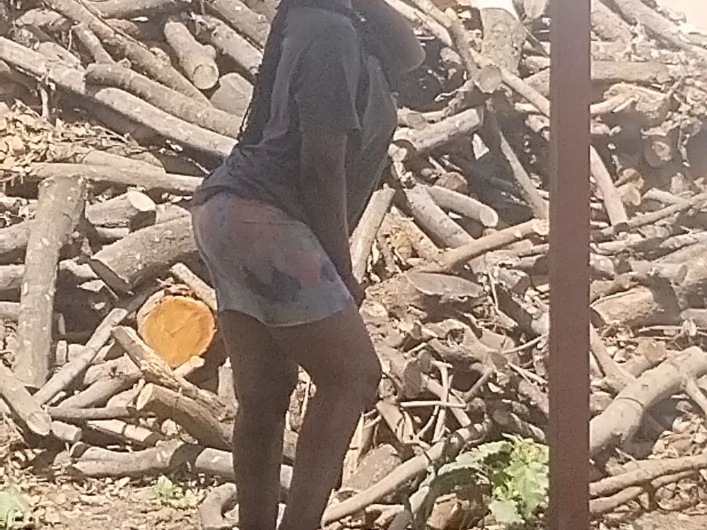 Calton1 오프라인 XXX 채팅