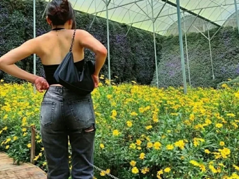 Anaya0000 offline XXX-chat