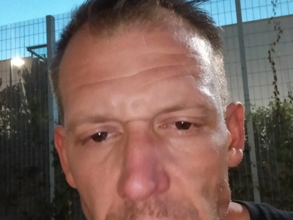 meshugger1 অফলাইন XXX চ্যাট