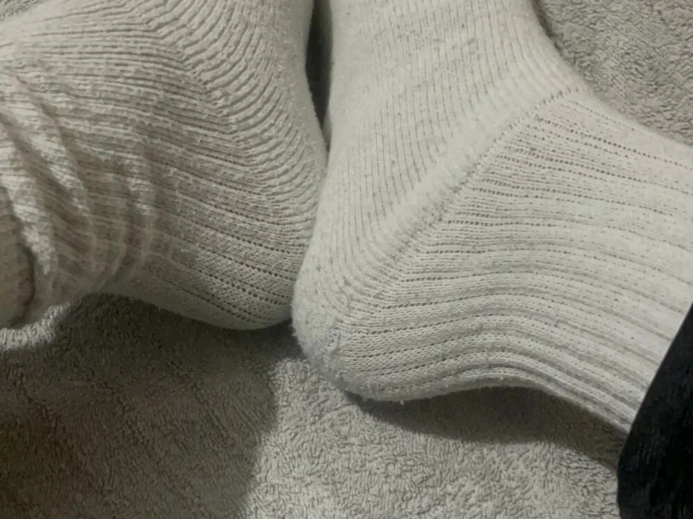 Офлайн-чат XXX tropicalpied