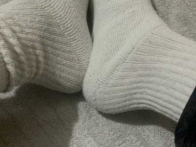 tropicalpied profile