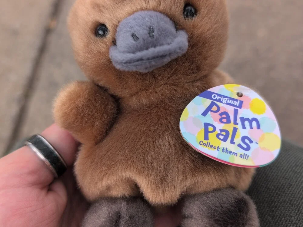 PEEDLE: офлайн-секс-чат