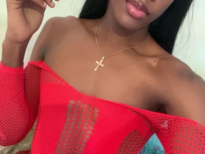 Noeh_lasston - Trans 