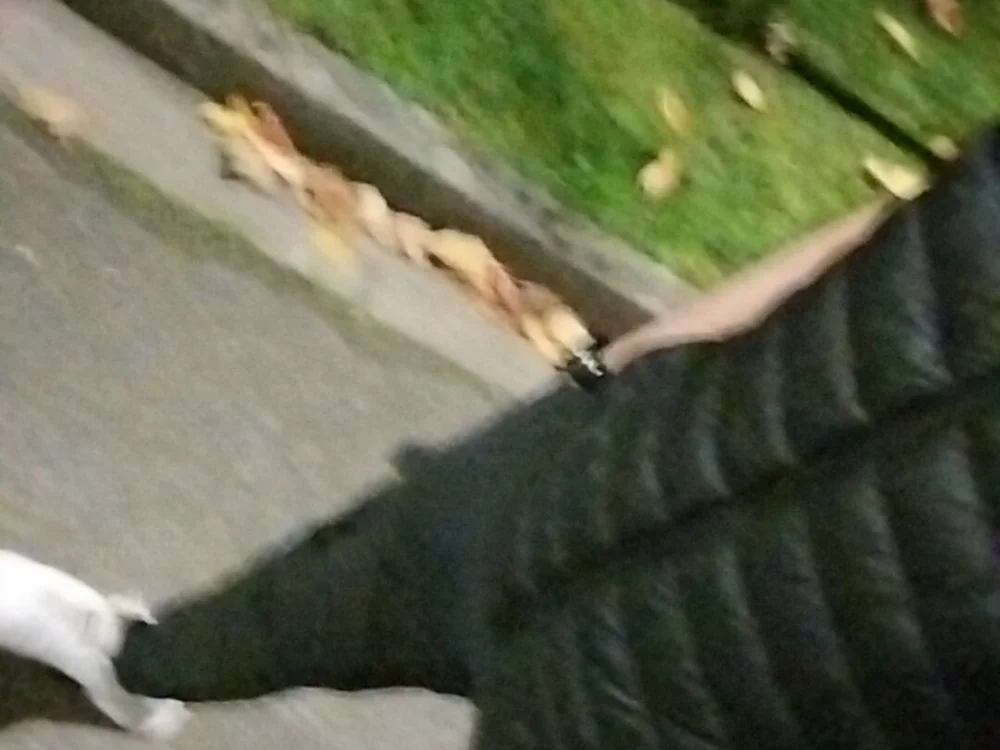 Offline chatovací místnost LoveTym