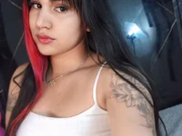 Модель Kagome01