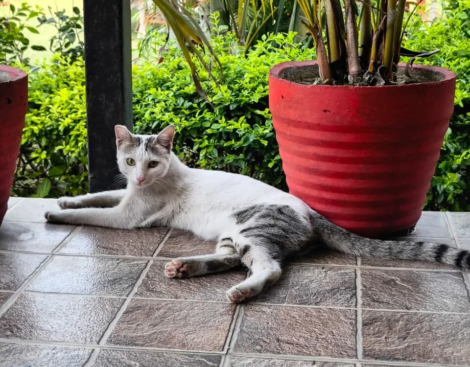 IndianDaddy0 离线XXX聊天