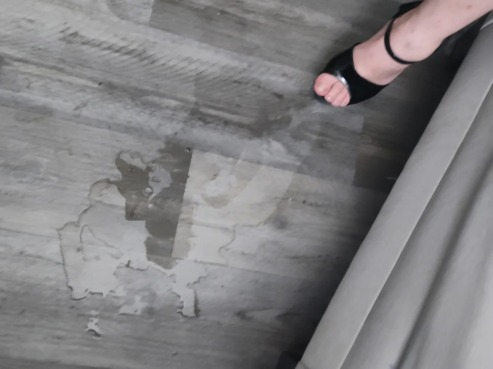 Ambionce's Offline XXX Chat