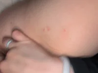 Porconatroia 離線聊天室