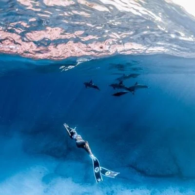 Minmoi1984 live webcam