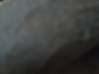 Chutkaraja737's webcam live show