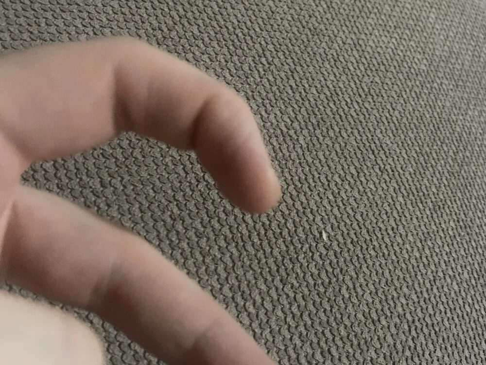 cathx Chat XXX offline