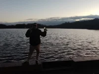 SwimmingDew1 cover photo