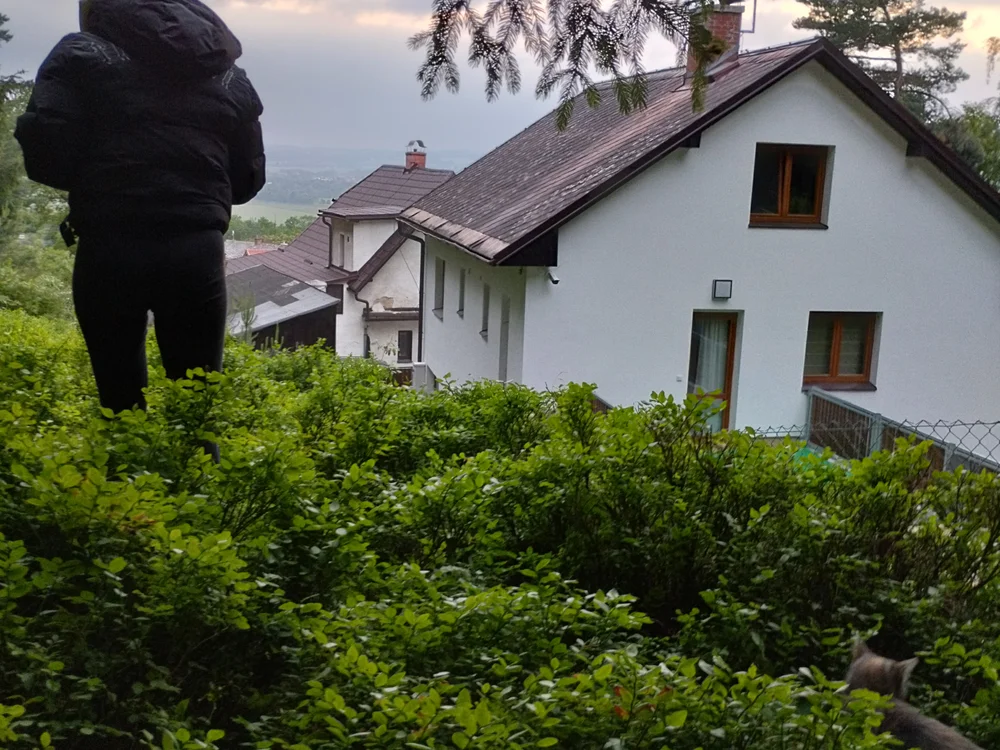 LadyFontaine Offline XXX Chat