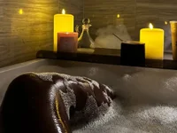 Модель WildScarlet