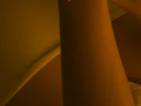 littlecuntyreadytouse's Offline XXX Chat