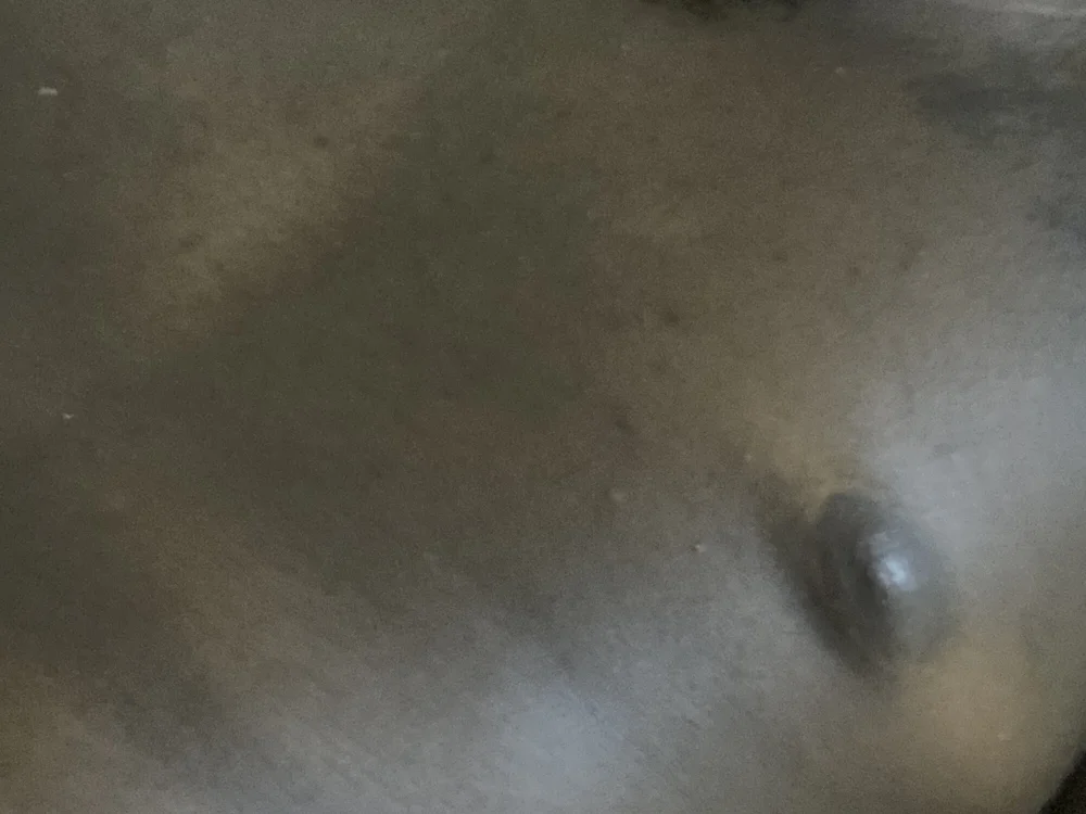 Bigasseater69xxx's most recent online preview