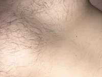 Wodderr's webcam live show