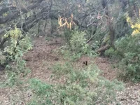 Zepe_12's webcam live show