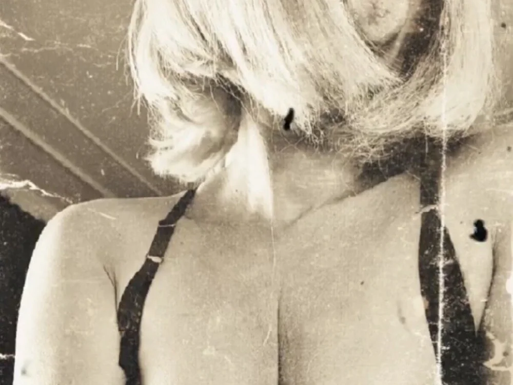 Chatroom XXX hors ligne de FoxyandTed