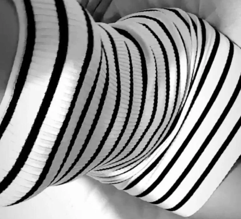 Catalina244 離線 XXX 聊天