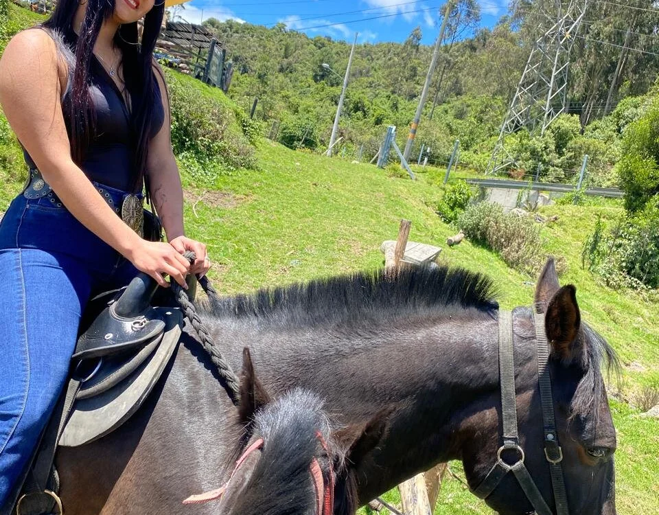 naughtyrose_vc Offline XXX Chat