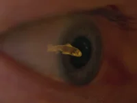 BartekMEN's webcam live show