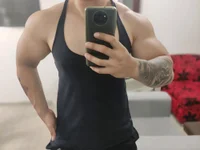 Модель Dannthor