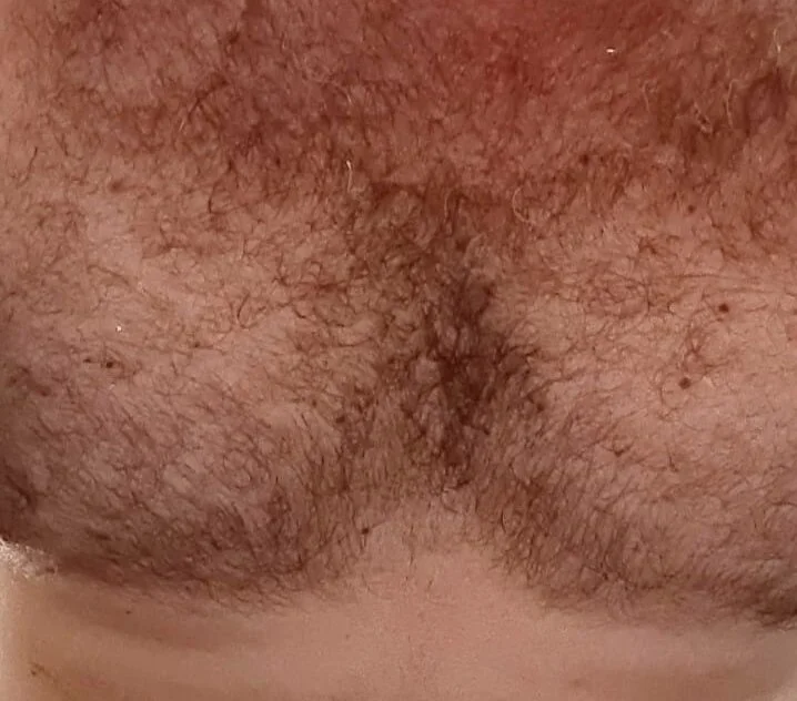 HairyBearTopDominant@xh offline XXX-chatje