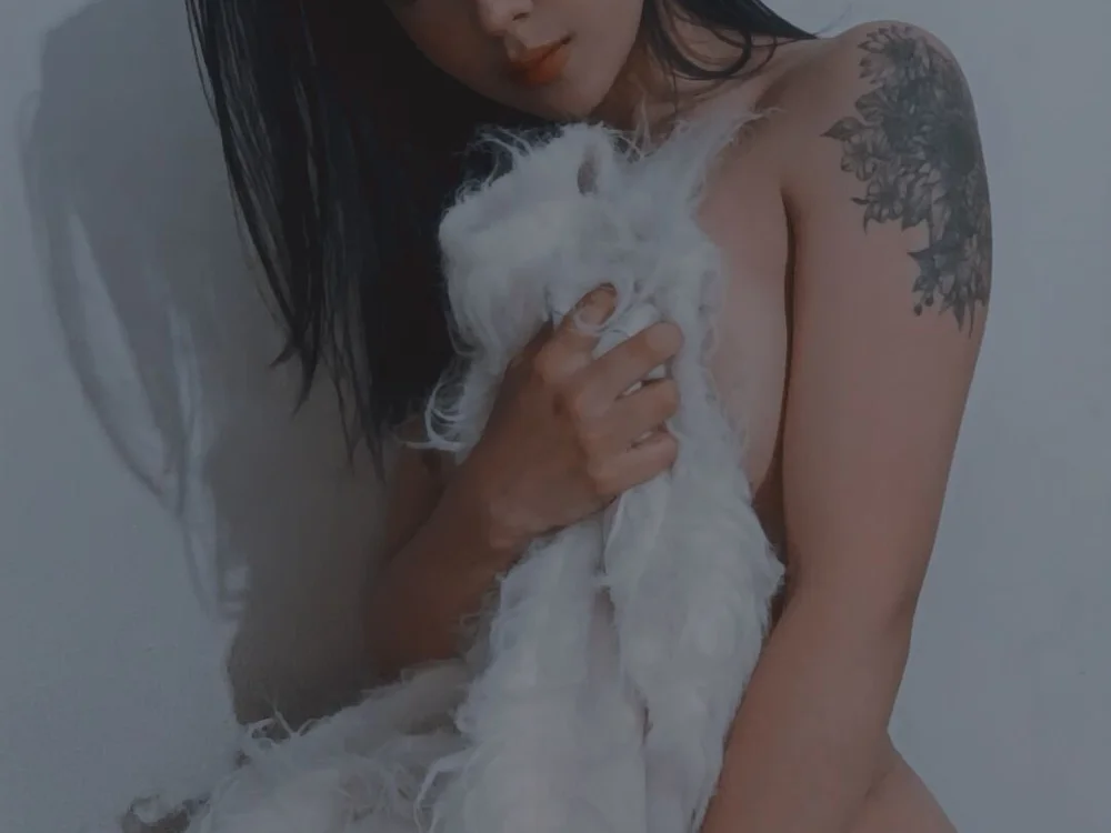 Little_Swan cam model