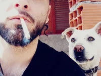 Mikevors