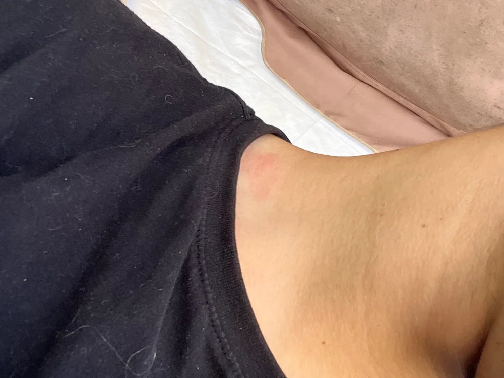 danelul99 Chat XXX offline