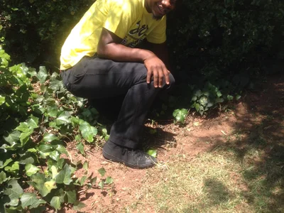 Profile of AfricanEbonyLovers
