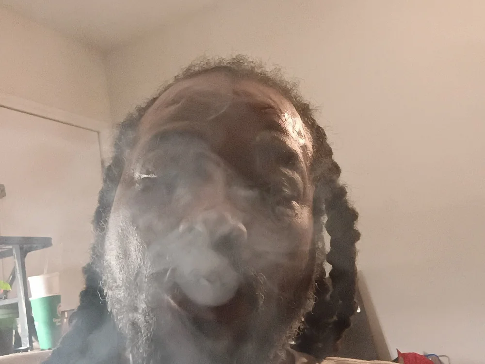 vegasvinn offline chatrum